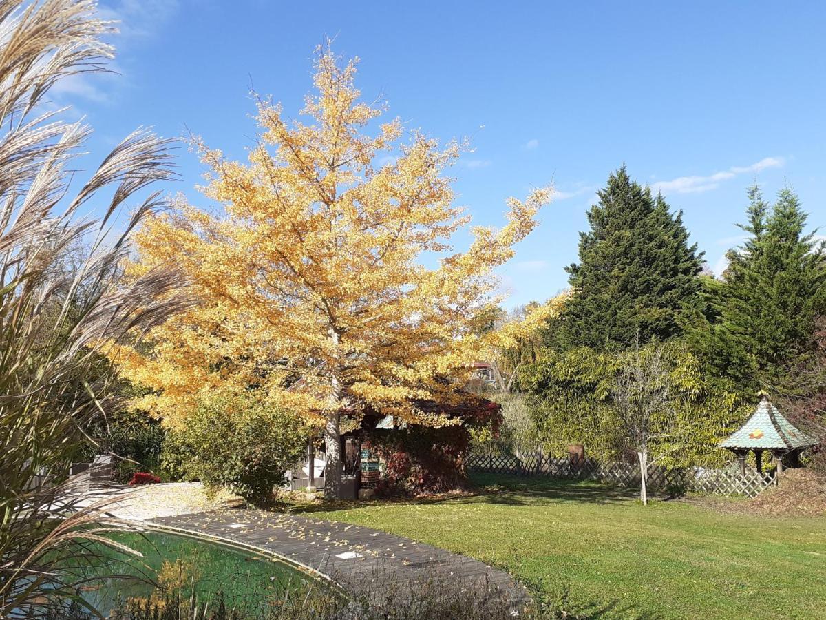 Vernaison La Fee Des Eaux B&B 외부 사진